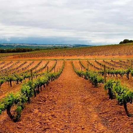 La De Pradorey Kır Evi Ventosilla