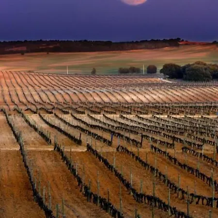 Kır Evi La De Pradorey