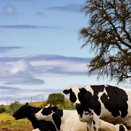 Casa di campagna La De Pradorey