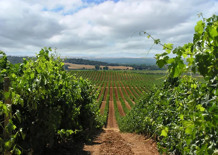 La De Pradorey Ventosilla