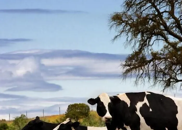 Landhuis La De Pradorey